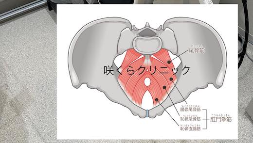 咲くらクリニック