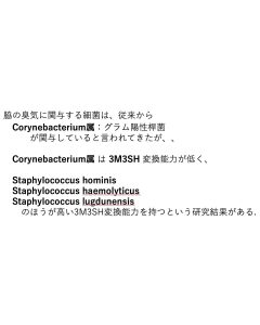 コリネバクテリウム属は3M3SHへの変換能力が低く、むしろ黄色ブドウ球菌属のいくつかの菌腫の方が3M3SHへの変換能力が高い